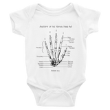 Anatomy of a Human Hand (fig 1)