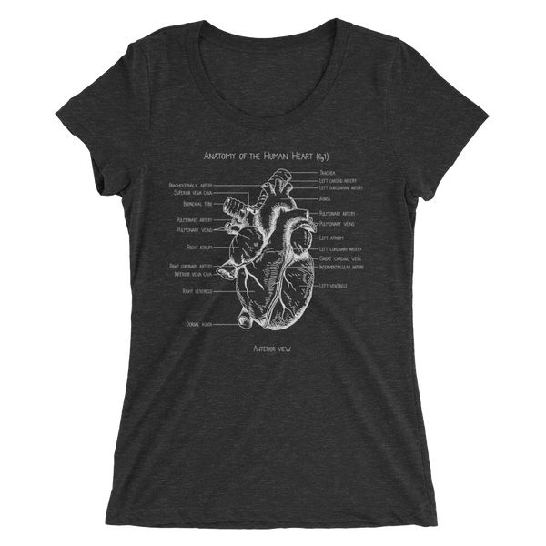 Anatomy of a Human Heart (fig 1)