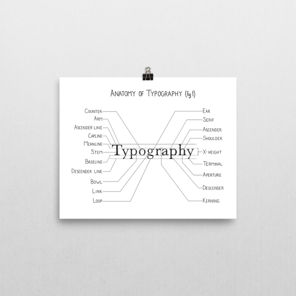 Anatomy of Typography (fig 1)