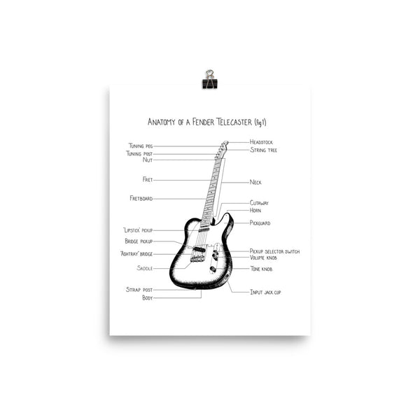 Anatomy of a Fender Telecaster (fig 1)