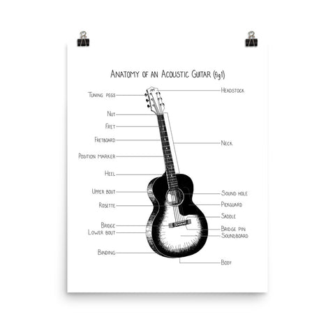 Anatomy of an Acoustic Guitar (fig 1)