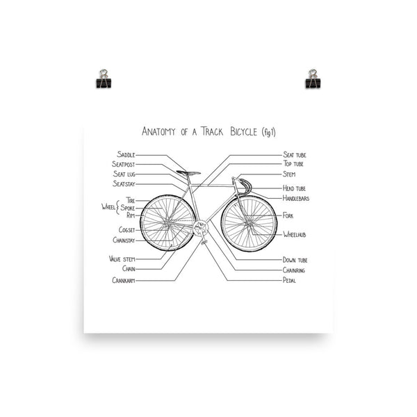 Anatomy of a Track Bicycle (fig 1)